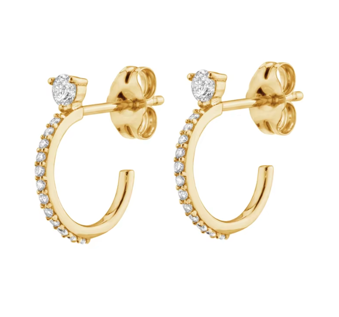 Ashley Huggie Hoops