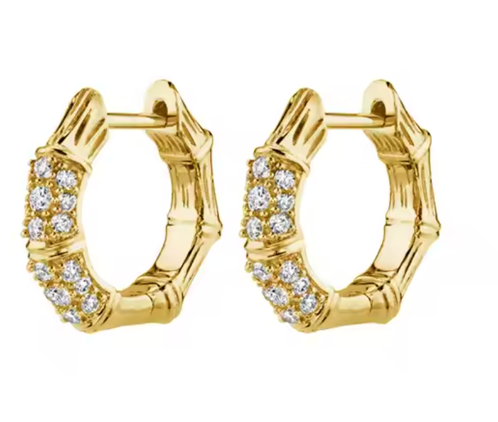 Shania Hoops