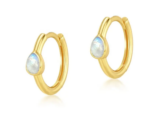 Misha Hoops