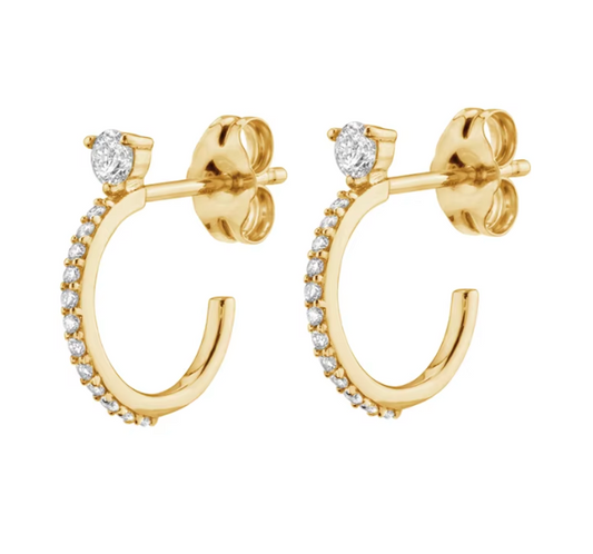 Ashley Huggie Hoops