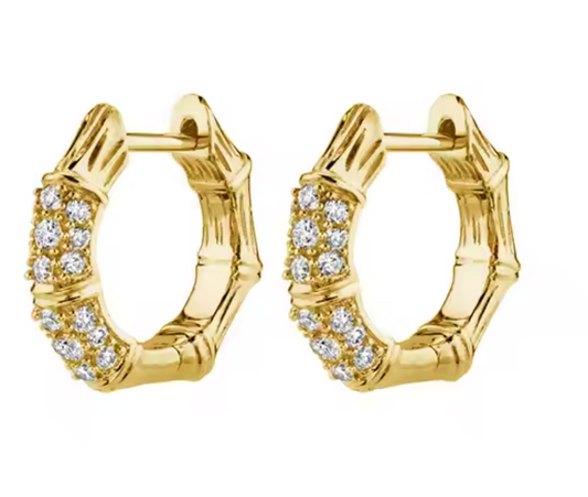 Shania Hoops